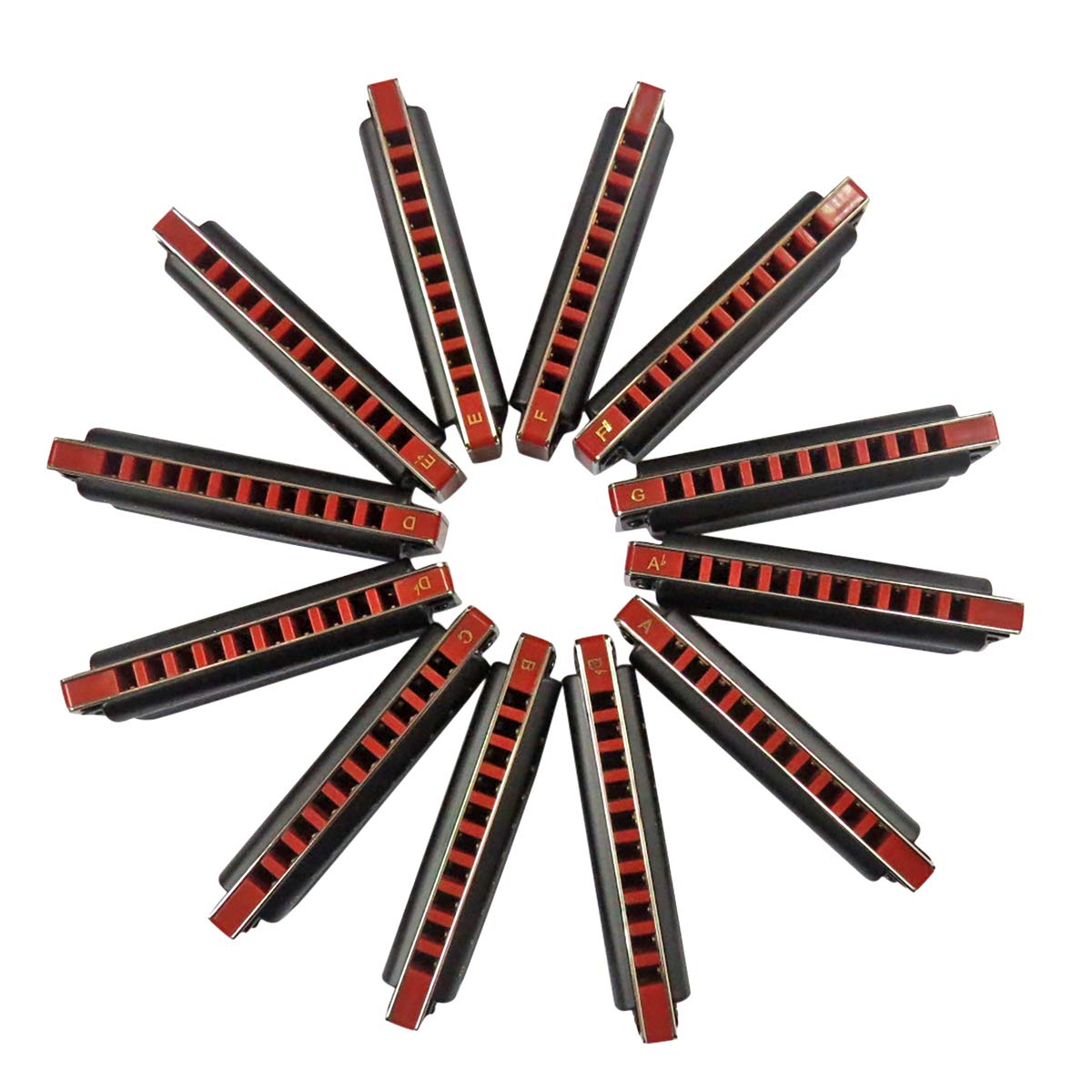 Armonica Blues Diatonica Professionale A 10 Fori Chiave Di Do Con