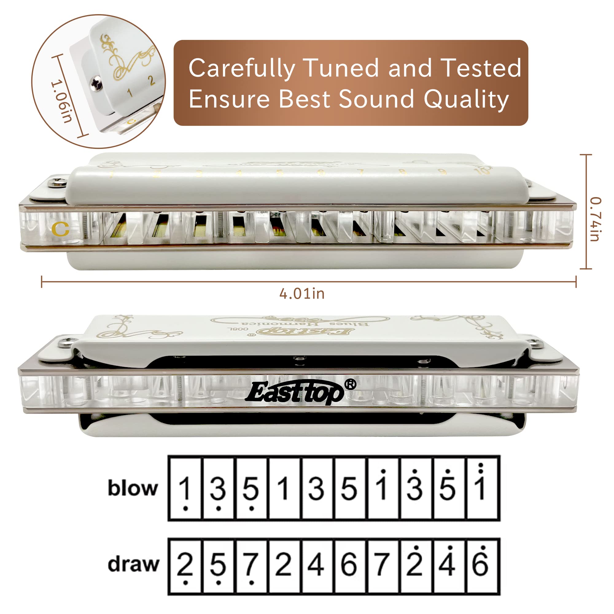 East top 10 Holes 20 Tones Diatonic Blues Harmonica Key of C with White Cover, T008L Harmonica for Adults, Professional Player, Beginner and Students(T008L) - Easttop harmonica