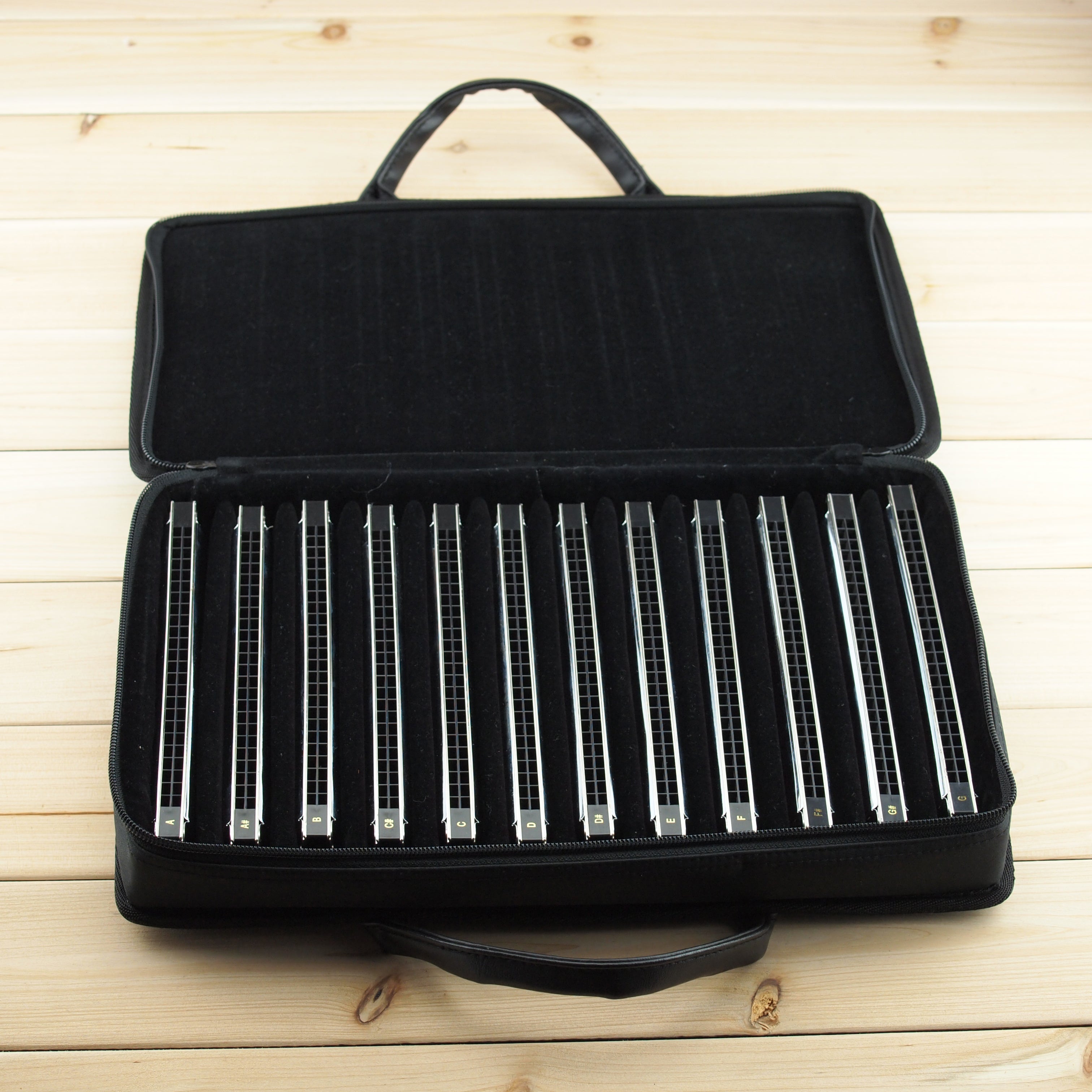 East top Tremolo Harmonica Set of 12 Keys 24 Holes Professional Tremolo Mouth Organ Harmonicas T2406S 2.0 For Adults, Professionals and Students(T2406S 2.0-12/T2406-12/T2406-12minor/T2406-12 Natrual Minor)