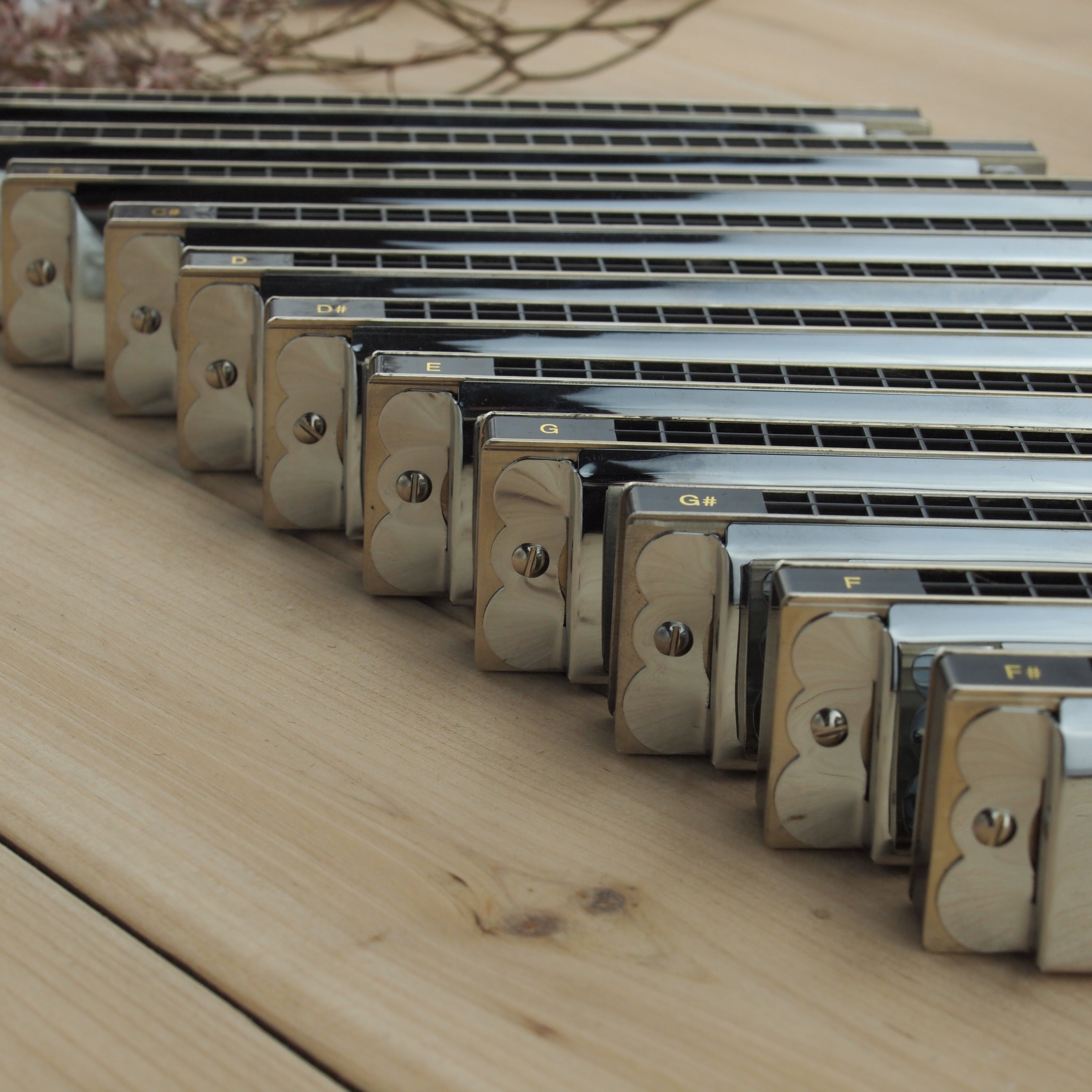 East top Tremolo Harmonica Set of 12 Keys 24 Holes Professional Tremolo Mouth Organ Harmonicas T2406S 2.0 For Adults, Professionals and Students(T2406S 2.0-12/T2406-12/T2406-12minor/T2406-12 Natrual Minor)