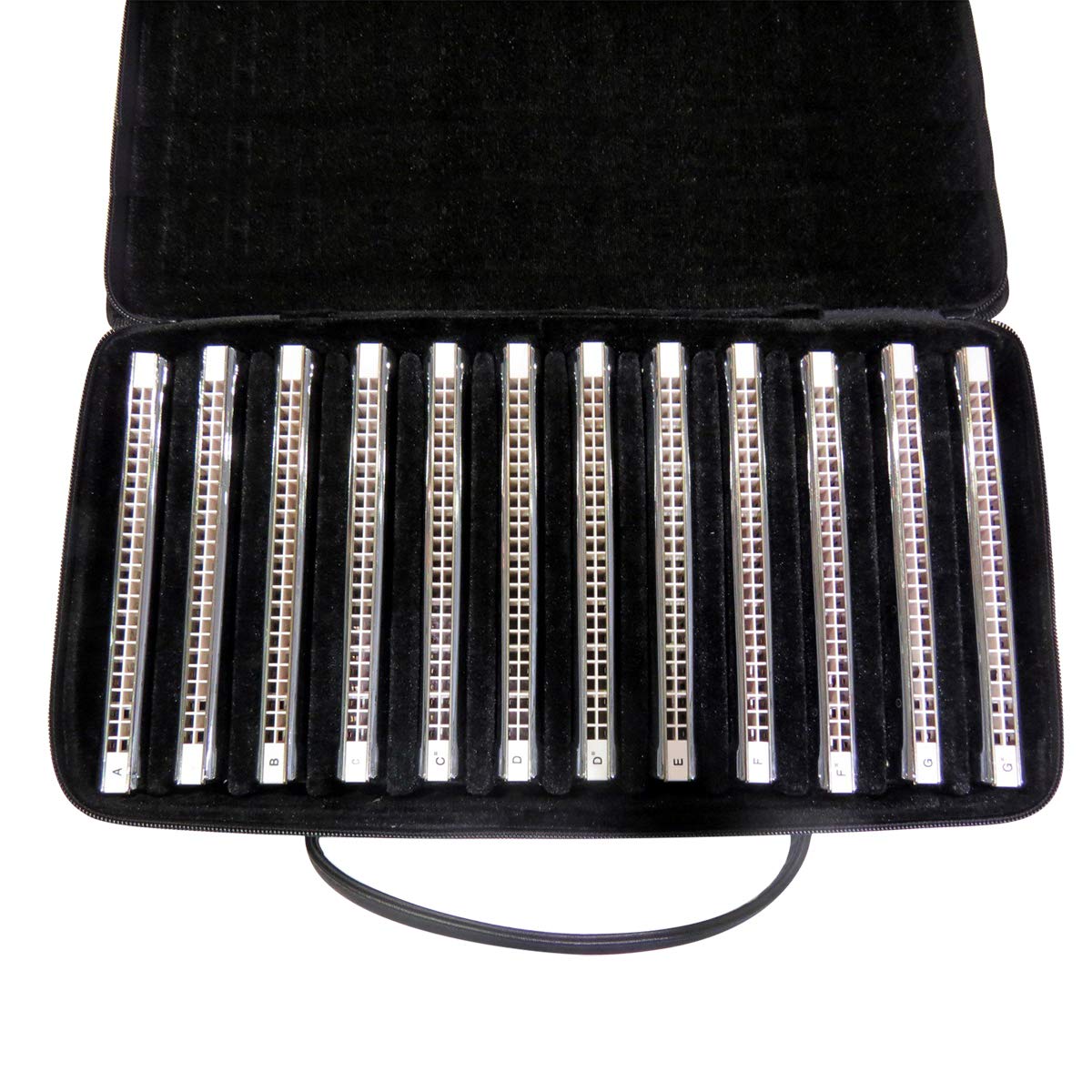 East top Tremolo Harmonica Set of 12 Keys 24 Holes Professional Tremolo Mouth Organ Harmonicas T2406S 2.0 For Adults, Professionals and Students(T2406S 2.0-12/T2406-12/T2406-12minor/T2406-12 Natrual Minor)