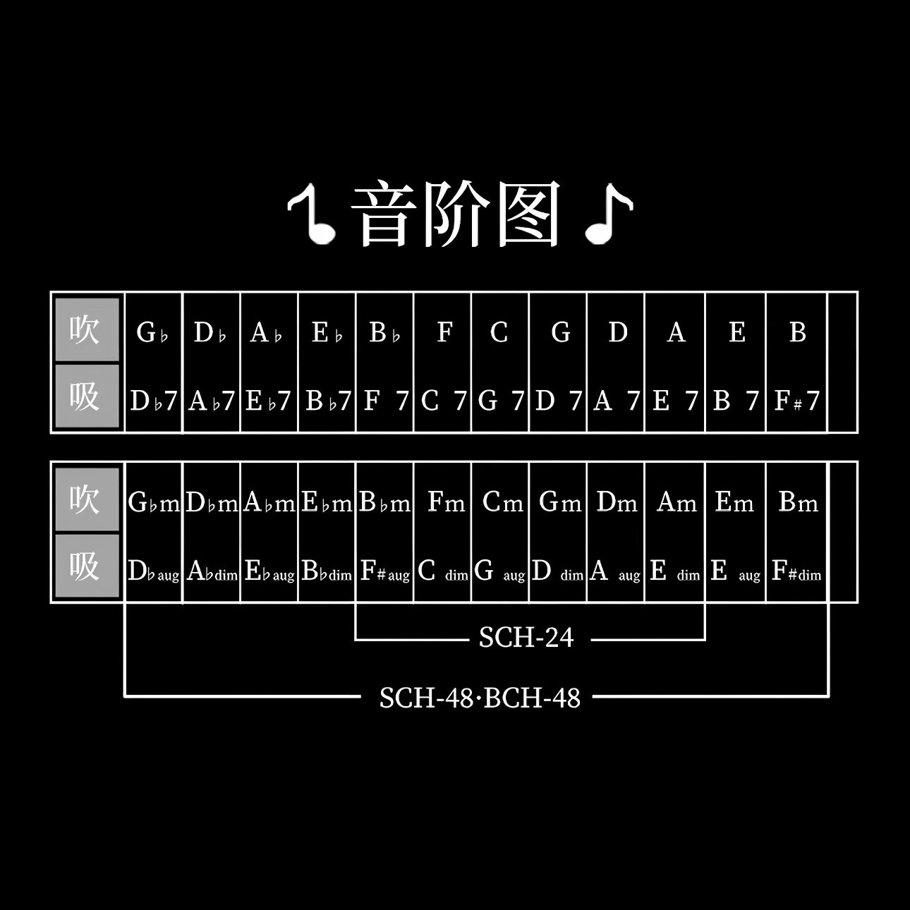 East top 48 Gruppen-Akkord-Mundharmonika, Tonart C mit Koffer, Upgrade-Mundharmonika für Erwachsene, professionelle Bandspieler und Studenten (NE03) 