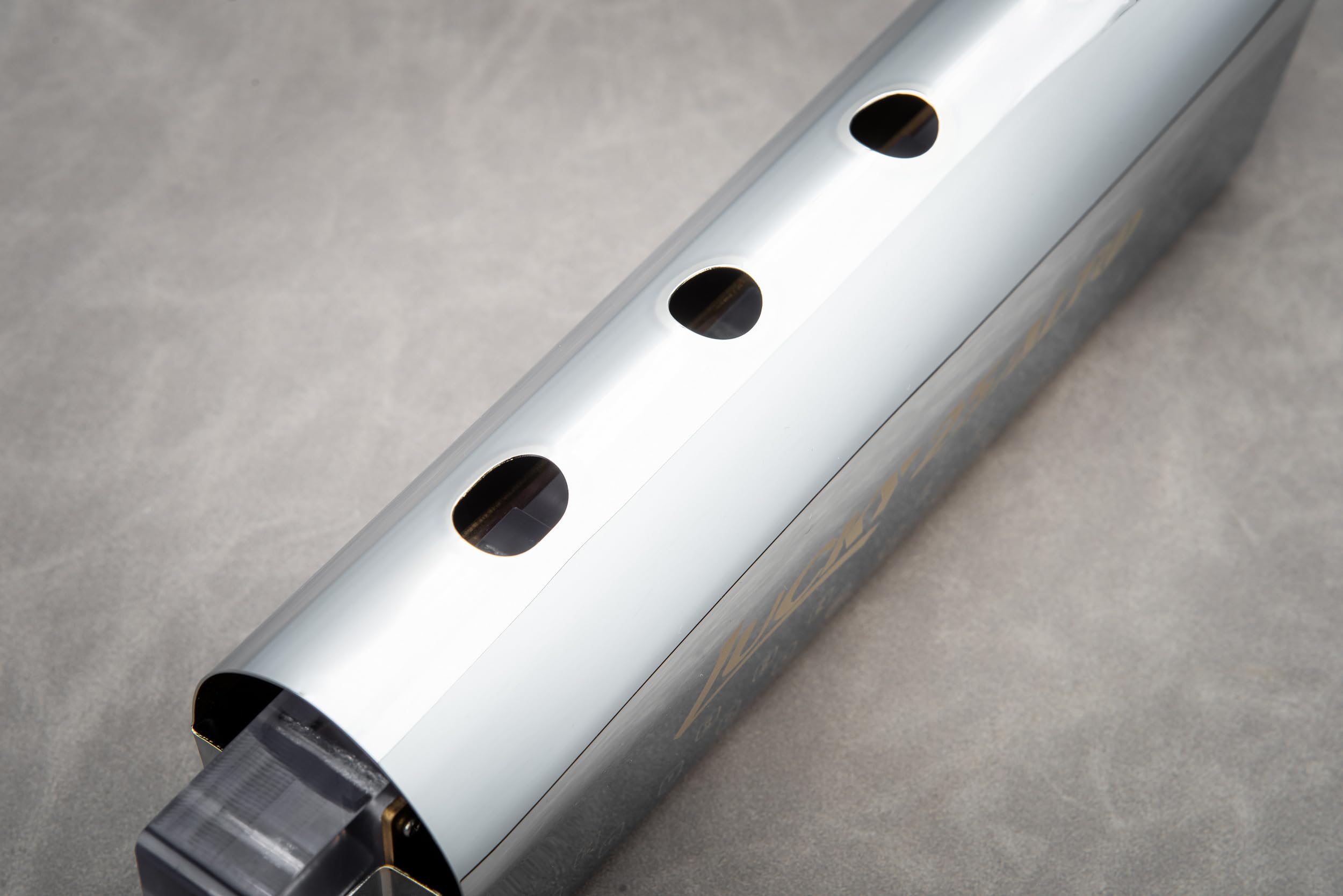 EAST TOP Upgrade Bass Harmonica Lucky 25 BASS Mouth Organ For Adults, Professional Band Players and Students(NE015)