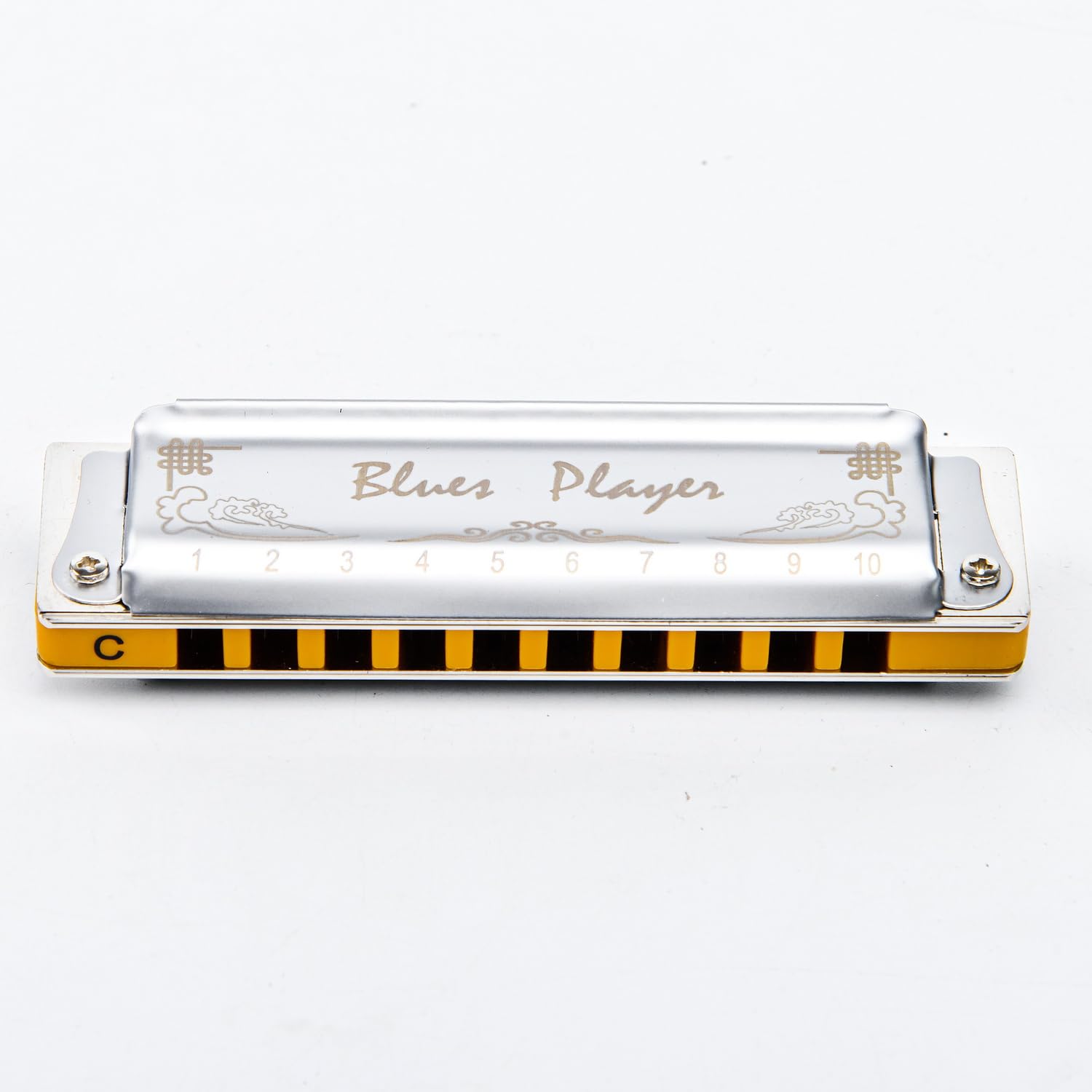 East top Upgrade Diatonic Blues Harmonica,10 Hole Diatonic Blues Harp,Major 12 keys available,Blues Player 2.0 Mouth Organ Harmonica, Deluxe Harmonicas For All Levels, Professionals and Students(PR020 2.0 Silver)