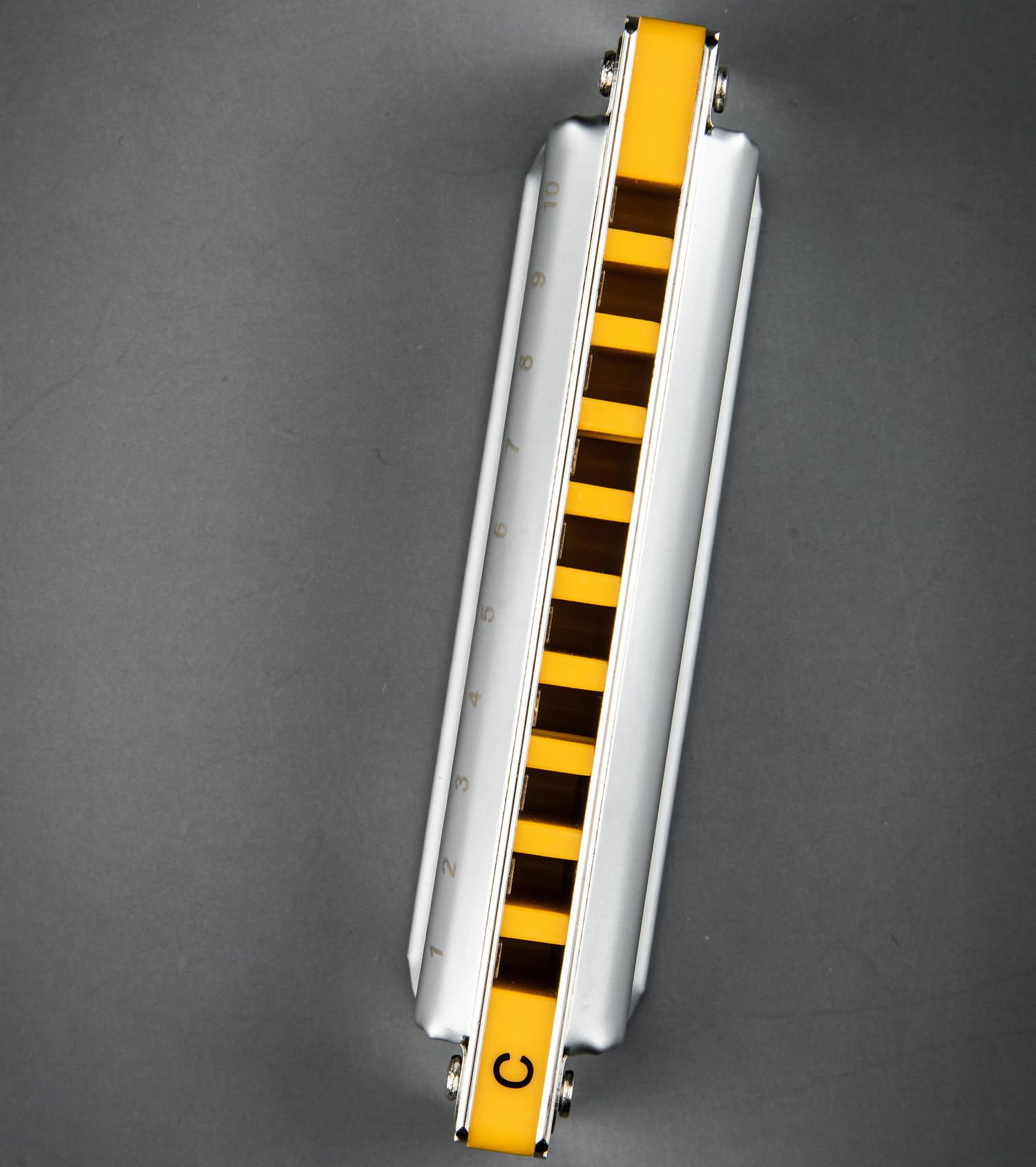 East top Upgrade Diatonic Blues Harmonica,10 Hole Diatonic Blues Harp,Major 12 keys available,Blues Player 2.0 Mouth Organ Harmonica, Deluxe Harmonicas For All Levels, Professionals and Students(PR020 2.0 Silver)