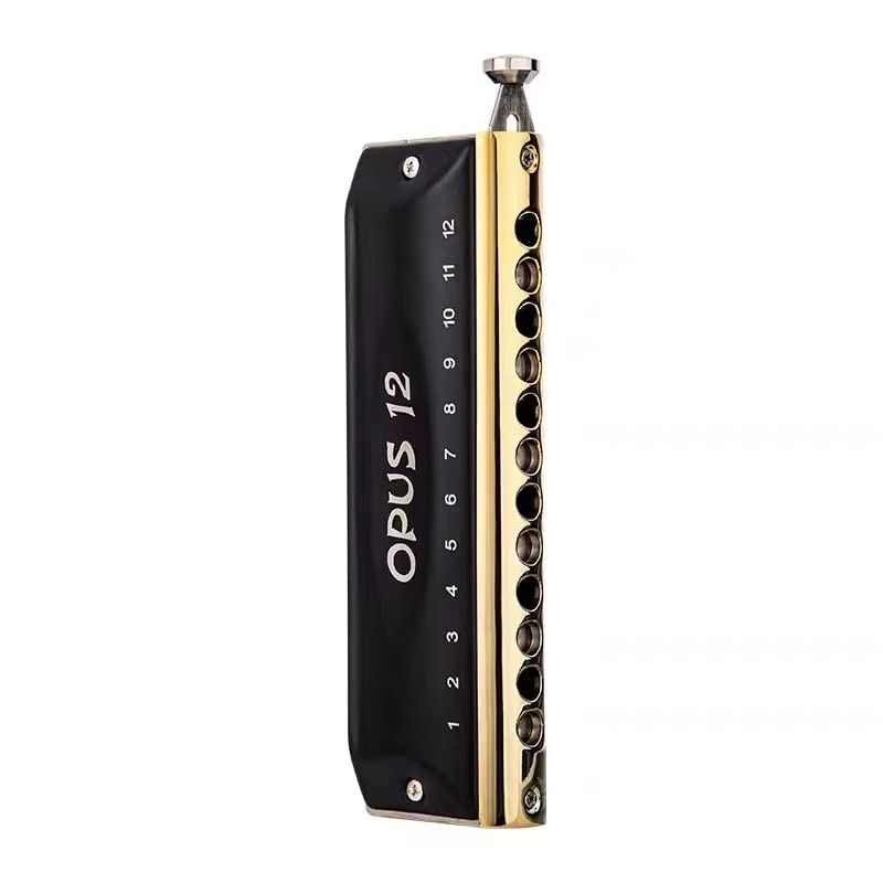 East top New Chromatic Harmonica Key of C, OPUS 12 Holes 48 Tones Chromatic Mouth Organ Harmonica For Adults, Professionals and Students - Easttop harmonica