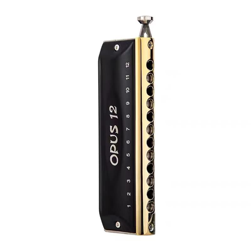 East top New Chromatic Harmonica Key of C, OPUS 12 Holes 48 Tones Chro Easttop harmonica