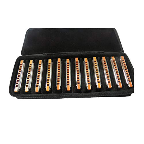 East top Advanced Diatonic Blues Harmonica set of 12, 10 Holes Diatonic Blues Mouth Organ Harmonicas, 12 Keys of T008S Harmonicas For Adults, Professionals and Students(T008S-SR-12) - Easttop harmonica