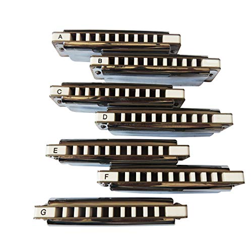 East top Diatonic Blues Harmonica Set of 7, A,B,C,D,E,F,G key,10 Holes Professional Diatonic Blues Harp Mouth Organ T008, Silver Harmonicas For Adults, Professionals and Students, as gift(T008-7) - Easttop harmonica