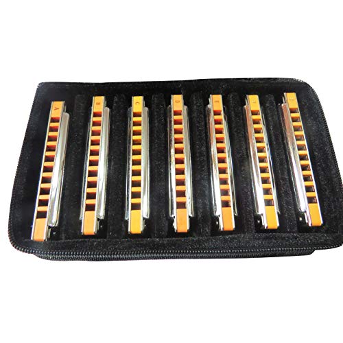 East top Advanced Diatonic Blues Harmonica set of 7, 10 Holes Diatonic Blues Mouth Organ Harmonicas, 7 Keys of T008S Harmonicas For Adults, Professionals and Students(T008S-SR-7) - Easttop harmonica