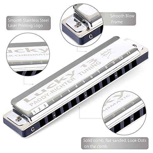 East top Lucky 13 Bass Plus Blues Harmonica 13 Holes Diatonic Harp Mouth Organ Professional Musical Instruments PaddyRichter C Key harmonica for Adults - Easttop harmonica